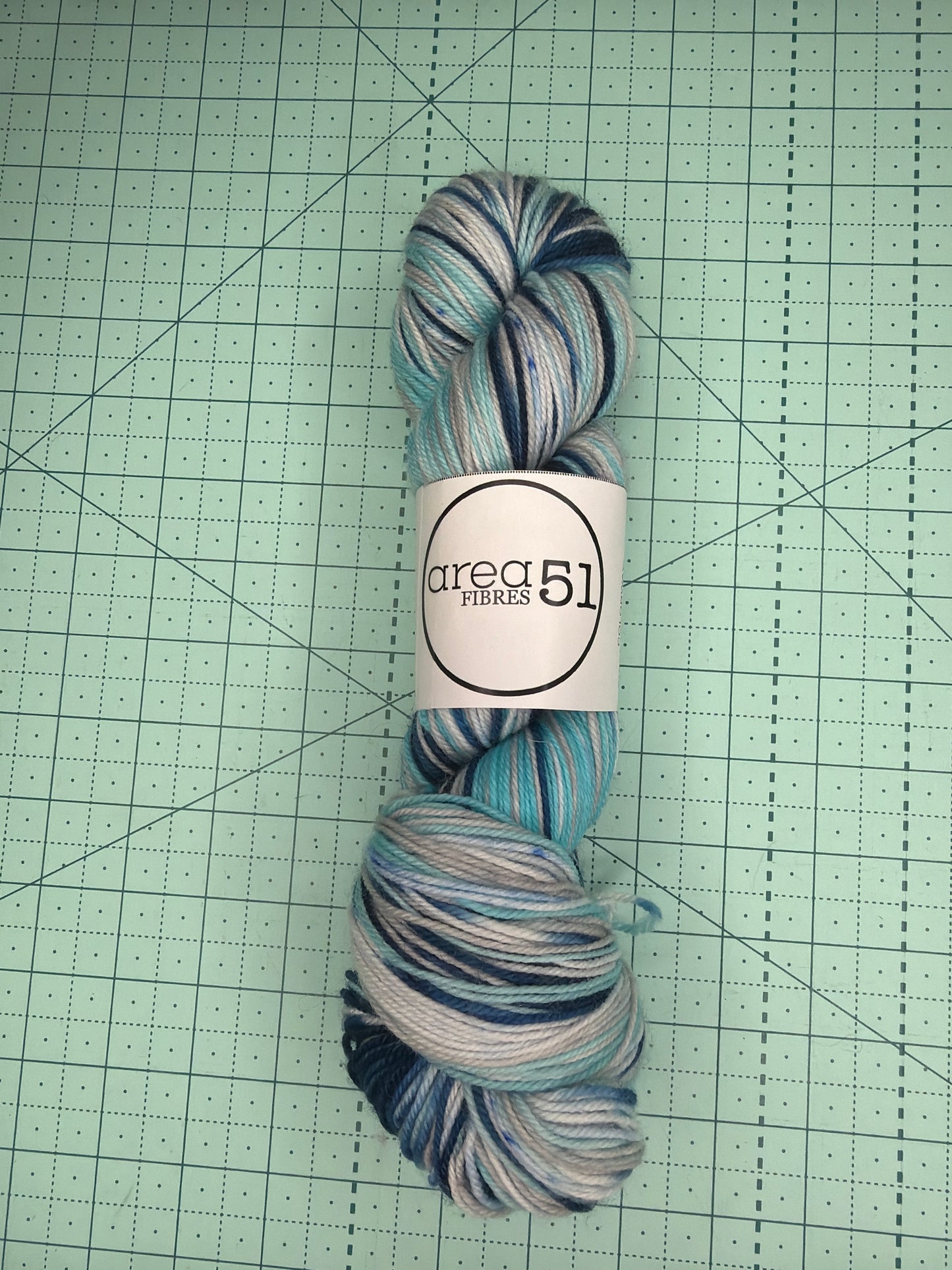 Hand dyed fingering weight yarn from area 51 fibers